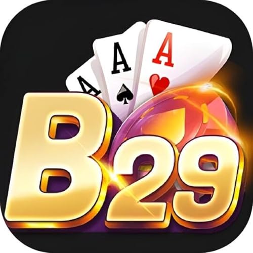 Logo B29