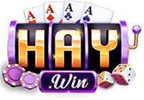 Logo HAYWIN