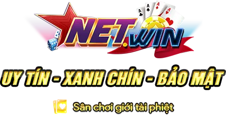 Logo NETWIN