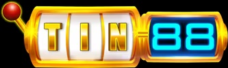 Logo TIN88